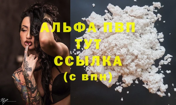 PSILOCYBIN Лиски