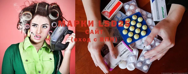 шишки Елизово