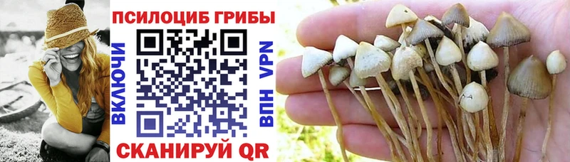 Галлюциногенные грибы мухоморы  МЕГА   Дыгулыбгей 