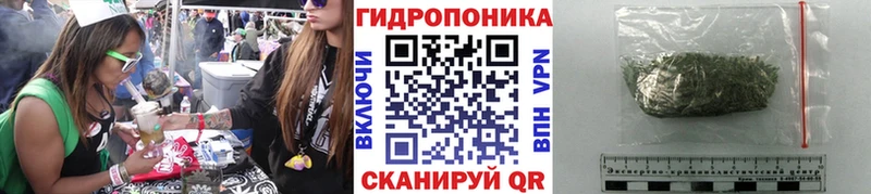 Конопля индика Дыгулыбгей